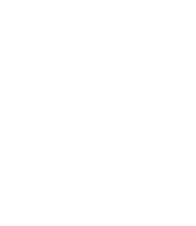 Rozeta Projekti
